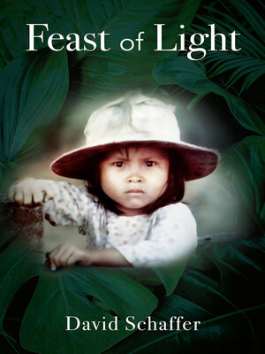cover image of Feast of Light
